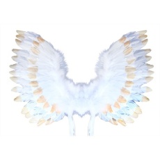 Andělská křídla s peřím bílo-zlatá
