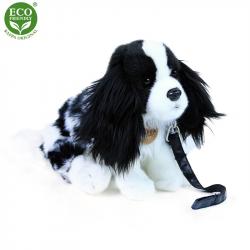 Plyšový pes kavalír King Charles španěl s vodítkem 27 cm ECO-FRIENDLY